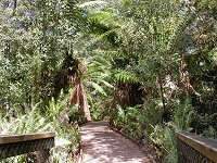 Platypus Walk - Thermal Springs