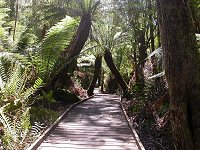 Platypus Walk - Thermal Springs