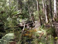 Platypus Walk - Thermal Springs