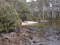 Platypus Bay - view to the north