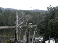 Mount Rufus