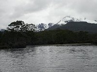 Narcissus Bay