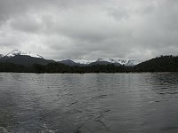 Narcissus Bay