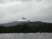 Narcissus Bay