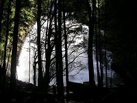 Nelson Falls from ~ 50 m away