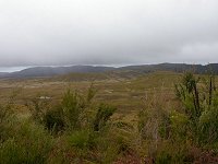 Subalpine plains, ~ 30km east of Queenstown