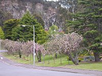 A small waterfall - Paterson Street