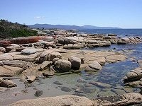 View on Maclean Bay