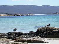 Waubs Bay
