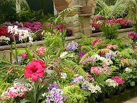 The Conservatory