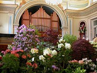 Rhododendron Show