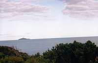 Looking at the whale from the Possession Point, Seal Island on the horizon