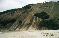 Misery Beach