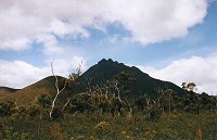 Toolbrunup Peak from the north-west