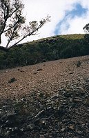 A rockfall near the trail