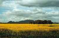 View from the south-west, from Red Gum Pass