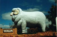 The Wagin's Giant Ram