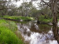 Moore River, 7 km south of Guiderton