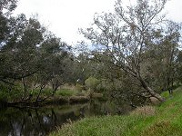 Moore River, 7 km south of Guiderton