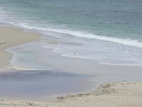 Moore River estuary - a pelican on the beach