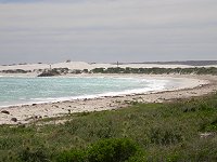 Lancelin bay - "Monster School Bus" on sand dunes