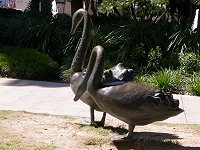 Near the Bell Tower