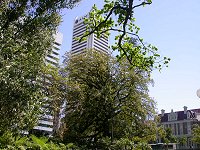 Supreme Court garden