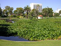 Queen's Gardens