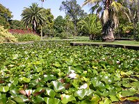 Queen's Gardens