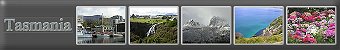 NEW - Albums from Tasmanai
