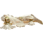 gif file (icon in zip file)