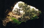 Stockyard Gully Caves