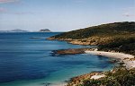 Whalers Cove, Albany