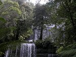 Russell Falls, Mt.Field National Park