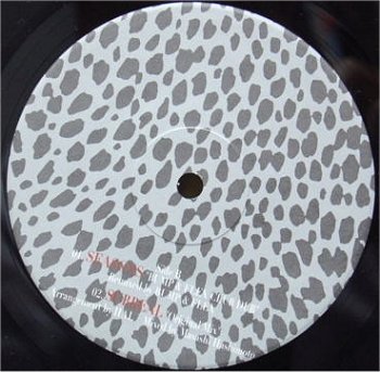 LP detail