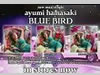 single 'BLUE BIRD'